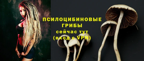таблы Богородицк