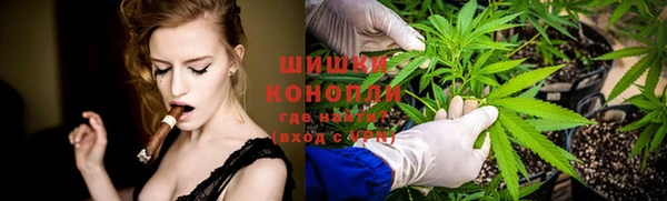 таблы Богородицк