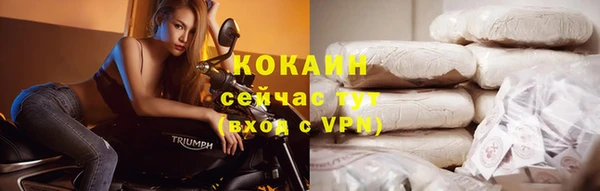 тгк Богородск