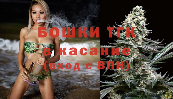тгк Богородск