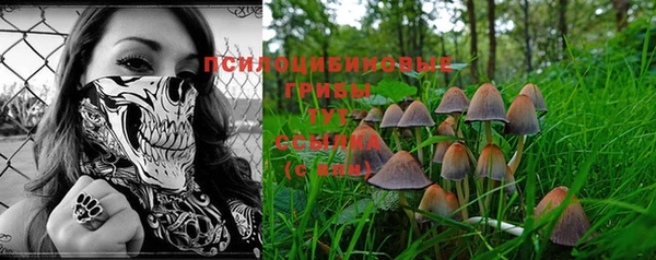 прущие крисы Богданович